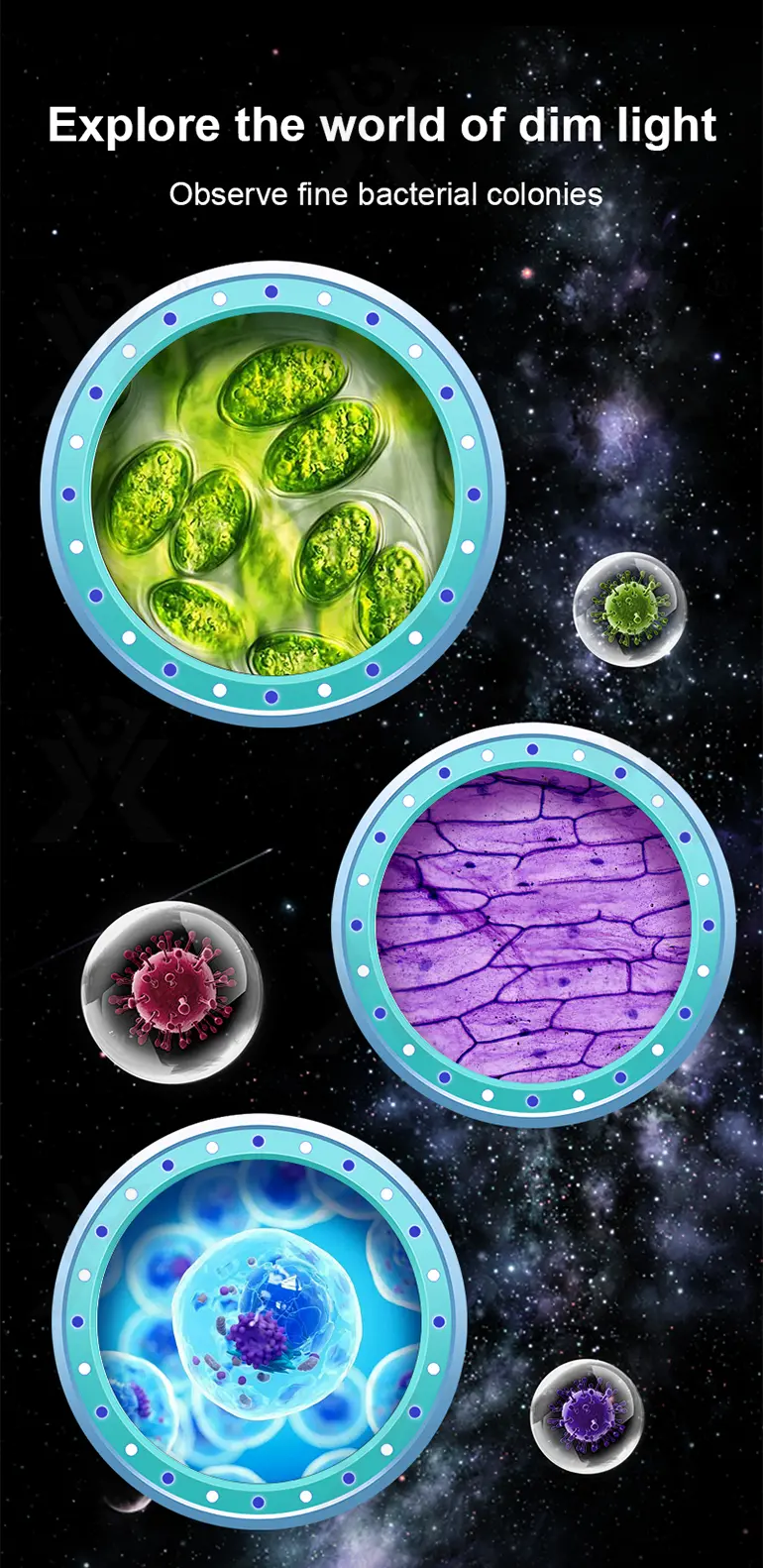 Microscope Toys · TV10709 · detail image 8 of 10