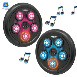 Electronic Boxing Board Toys, Boxing Toys for 8 Year Olds and Up