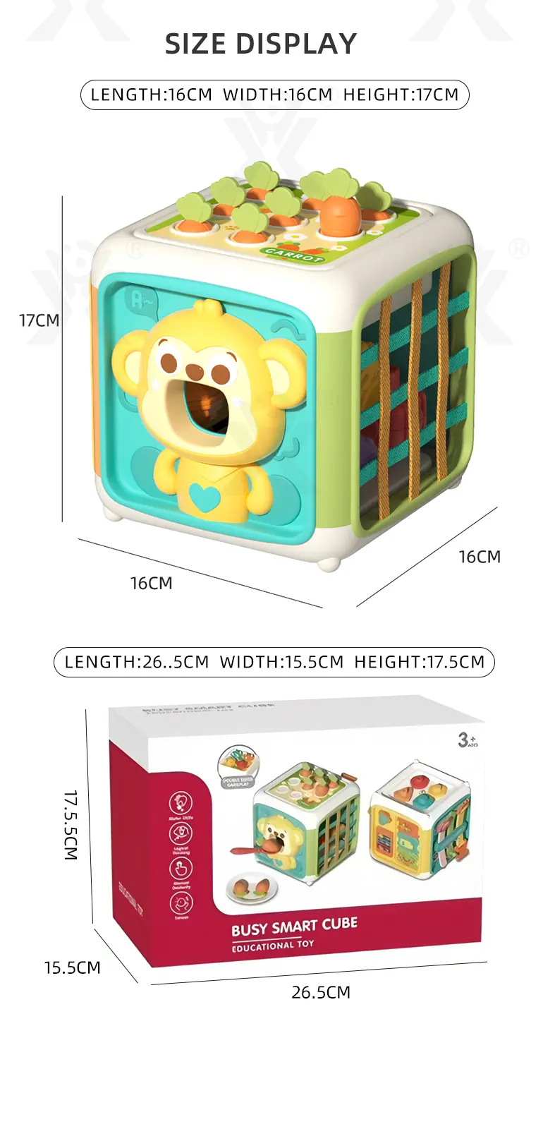 Educational Toys · TV10668 · detail image 10 of 10