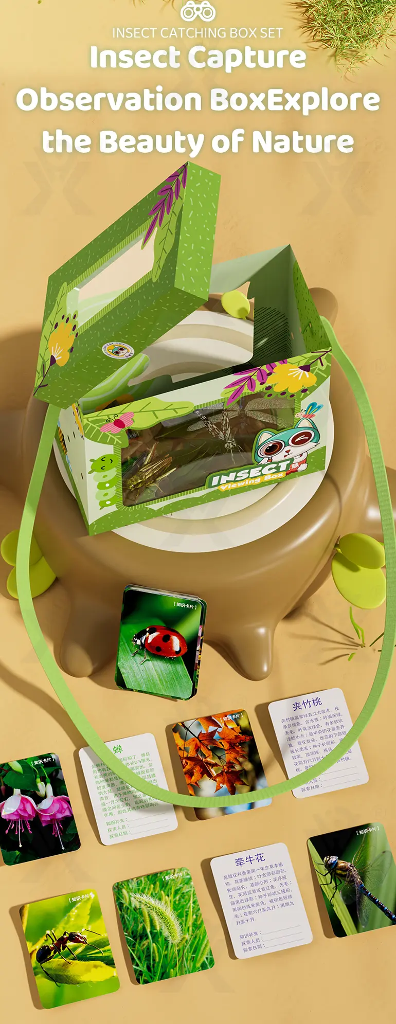 Complete 12-in-1 Outdoor Diy Exploration Set · TV10600 · detail image 12 of 16