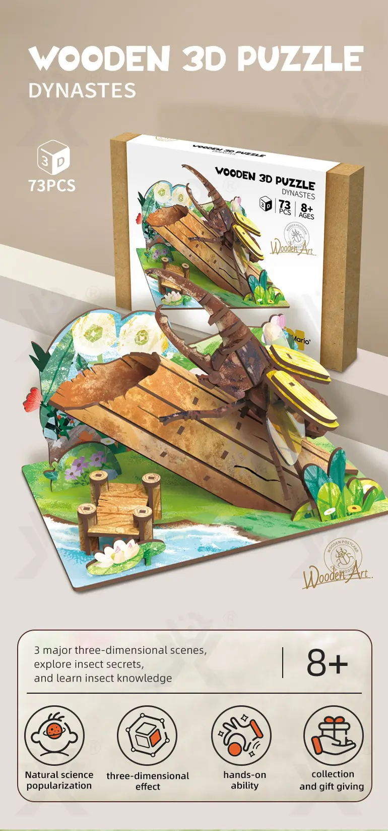 3D Insect Wooden Puzzle Supplier, STEM Toy– Improves Creativity and Fine Motor Skills · TV10604 · detail image 1 of 8