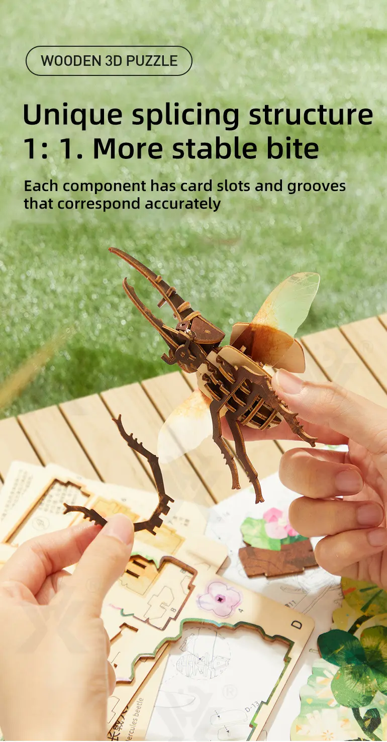 3D Insect Wooden Puzzle Supplier, STEM Toy– Improves Creativity and Fine Motor Skills · TV10604 · detail image 2 of 8