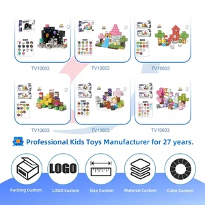 2cm Magnetic Building Blocks Manufacturer · TV10603 · product photo 2 of 5