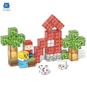 2cm Magnetic Building Blocks Manufacturer
