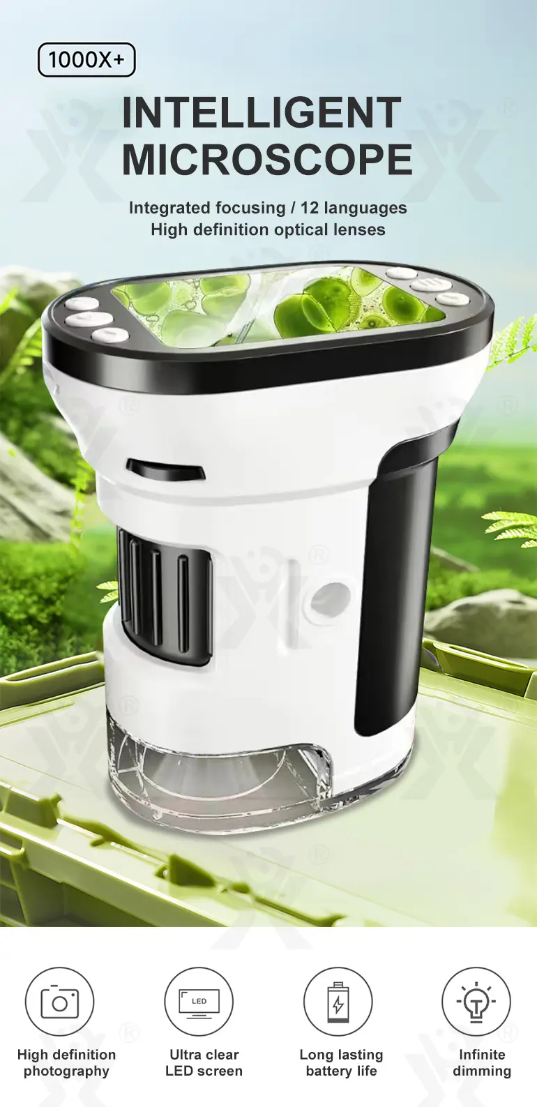 Microscope Toys · TV10537 · detail image 1 of 12
