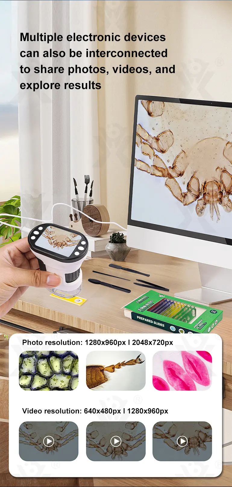 Microscope Toys · TV10537 · detail image 7 of 12