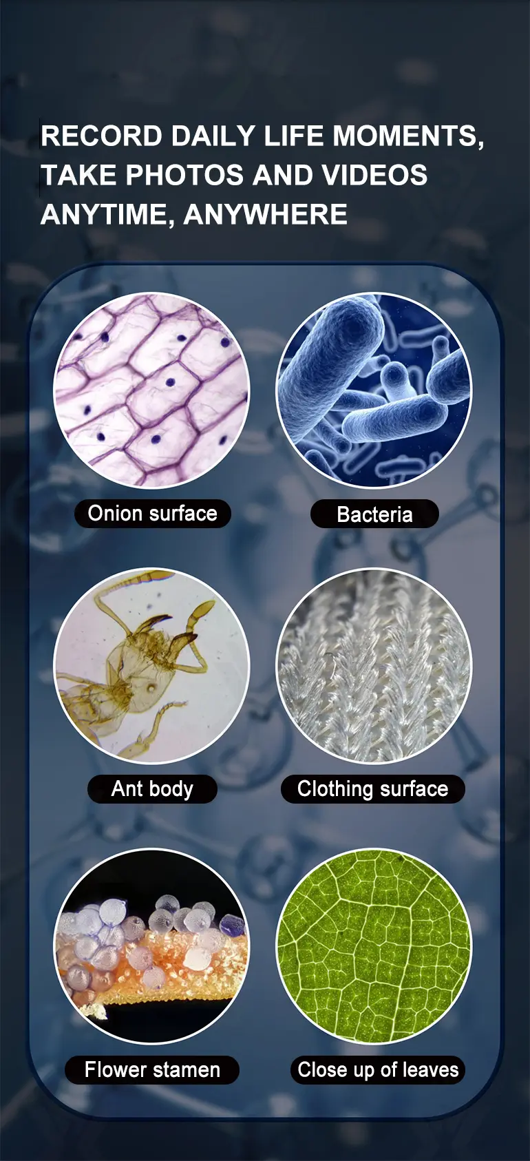 Microscope Toys · TV10537 · detail image 9 of 12
