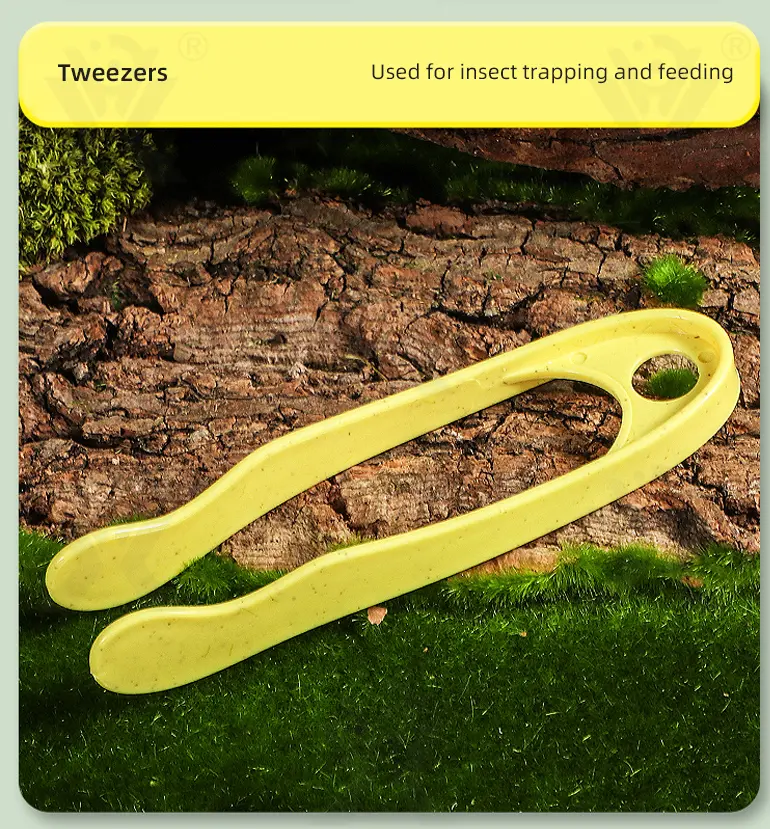 Outdoor Exploration Toy, Insect Capture · TV10514 · detail image 6 of 11
