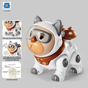 Cute Mechanical Dog Toy with Remote & Lights · TV10460 · product photo 6 of 6