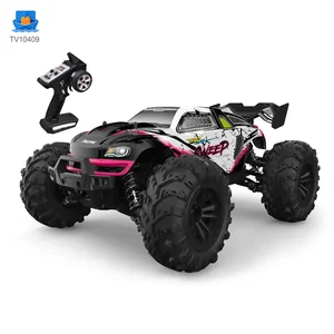 RC Off-Road Stunt Car Toy With Brushless Motor · TV10409 · product photo 1 of 6