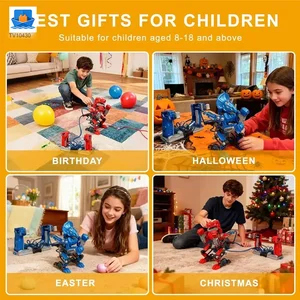 DIY Hydraulic Boxing Robot Toy · TV10430 · product photo 4 of 7