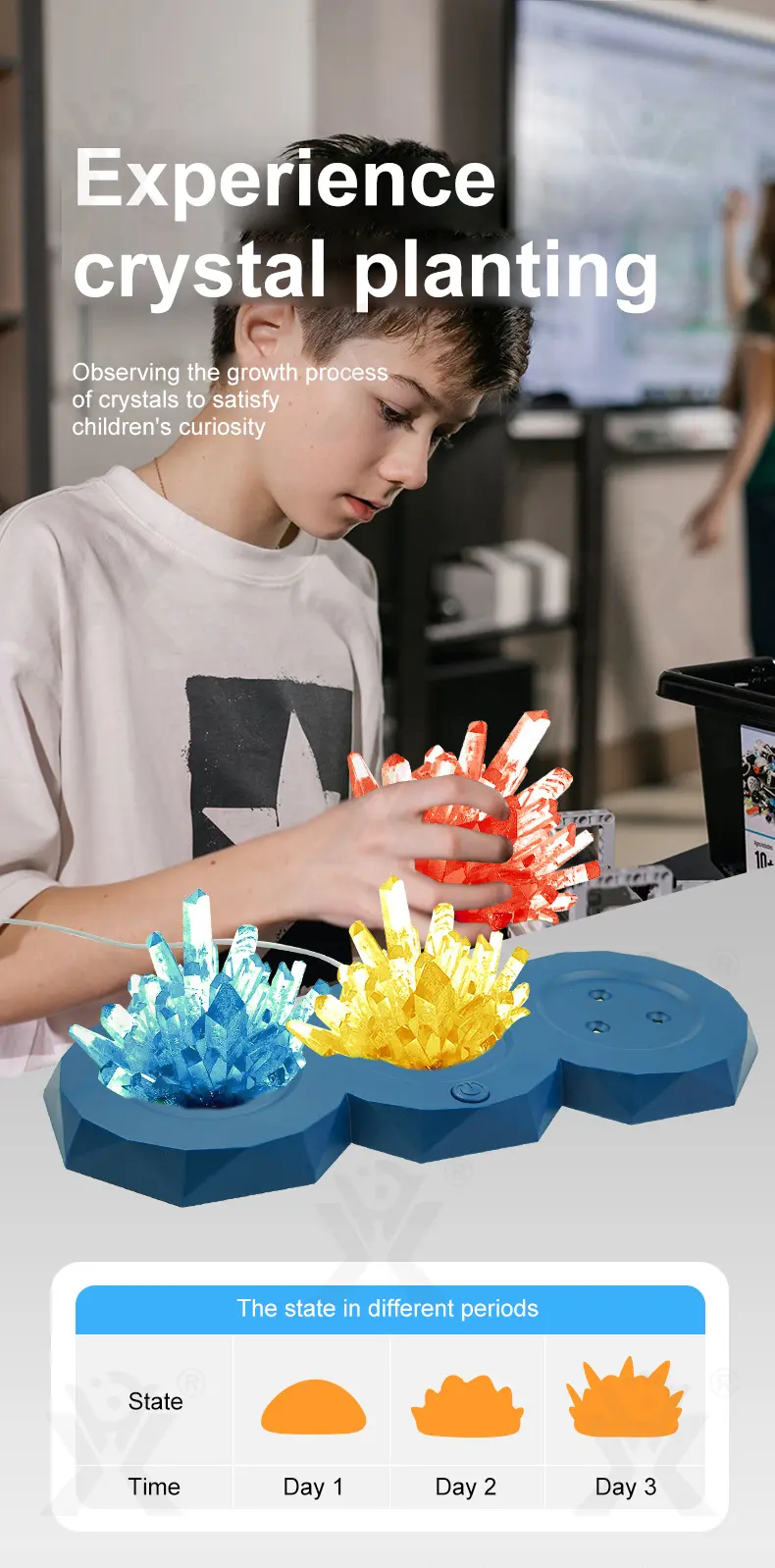 Crystal Planting Kits, Crystal Growing Kit · TV10344 · detail image 4 of 7
