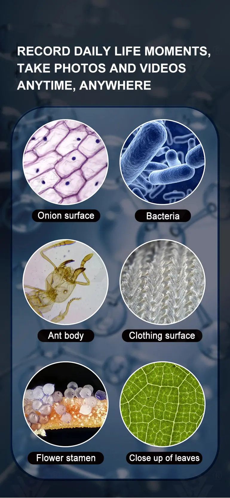 3-in-1 Carton Electron Microscope · TV10347 · detail image 6 of 10