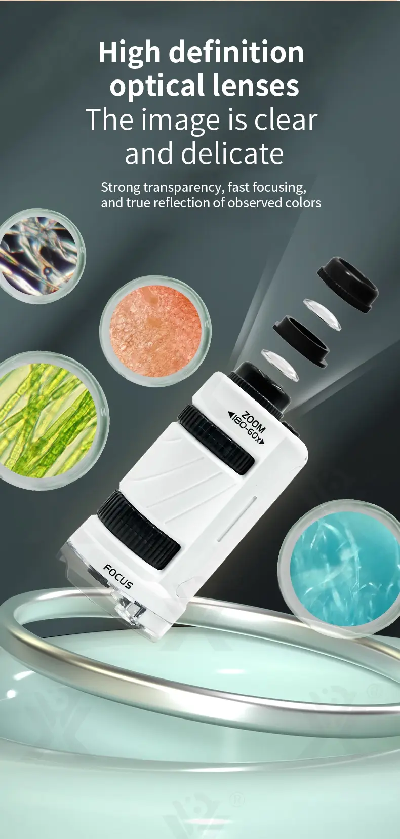 Portable Microscope Specimen Toy, Kids Microscope · TV10339 · detail image 4 of 7