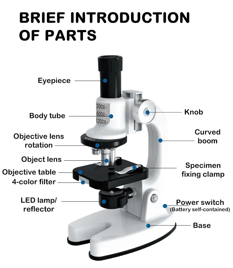 Scientific Microscope Set · TV10337 · detail image 8 of 9