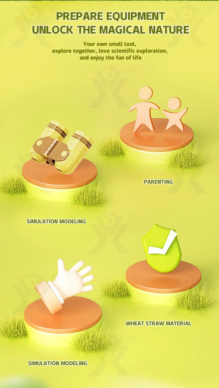Outdoor Insect Box for Kids to Observe The Insect World · TV10360 · detail image 2 of 8