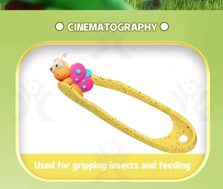 Outdoor Insect Box for Kids to Observe The Insect World · TV10360 · detail image 5 of 8