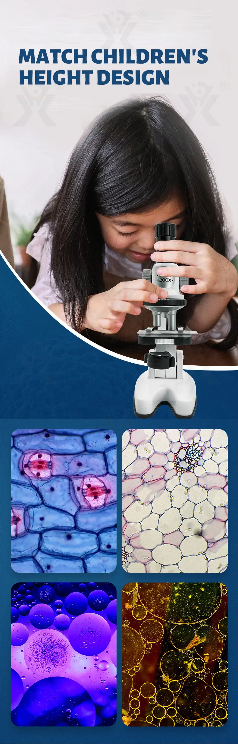 Scientific Microscope Toy Set -Toy Supplier · TV10340 · detail image 5 of 8