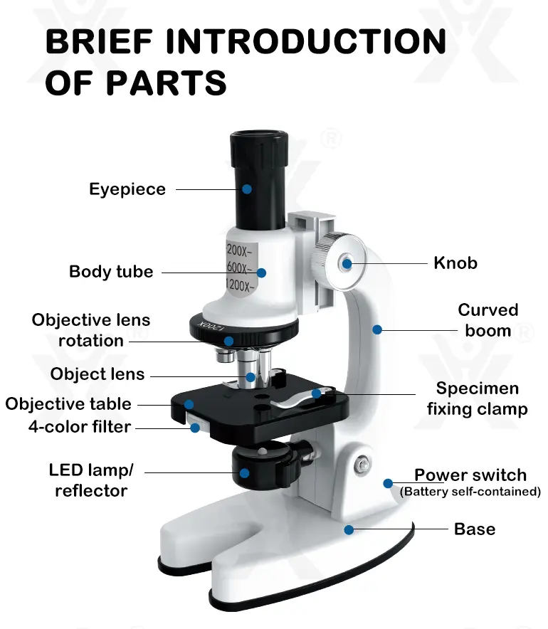 Biological Microscope Toy for Kids, Students · TV10341 · detail image 8 of 11