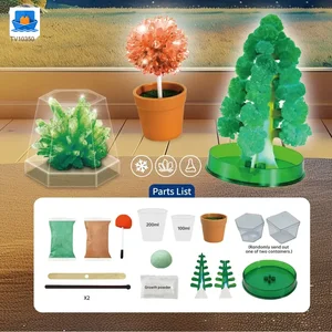 Mini Magic Christmas Tree, Crystal Experiment Kit Toy · TV10350 · product photo 4 of 6