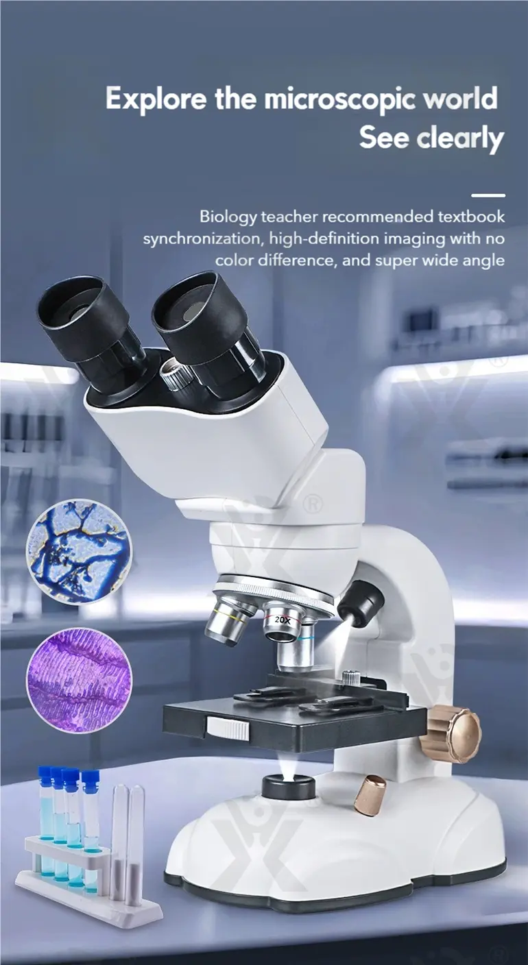 Binocular Microscope Toy, Suitable For Teaching and Playing · TV10252 · detail image 1 of 13