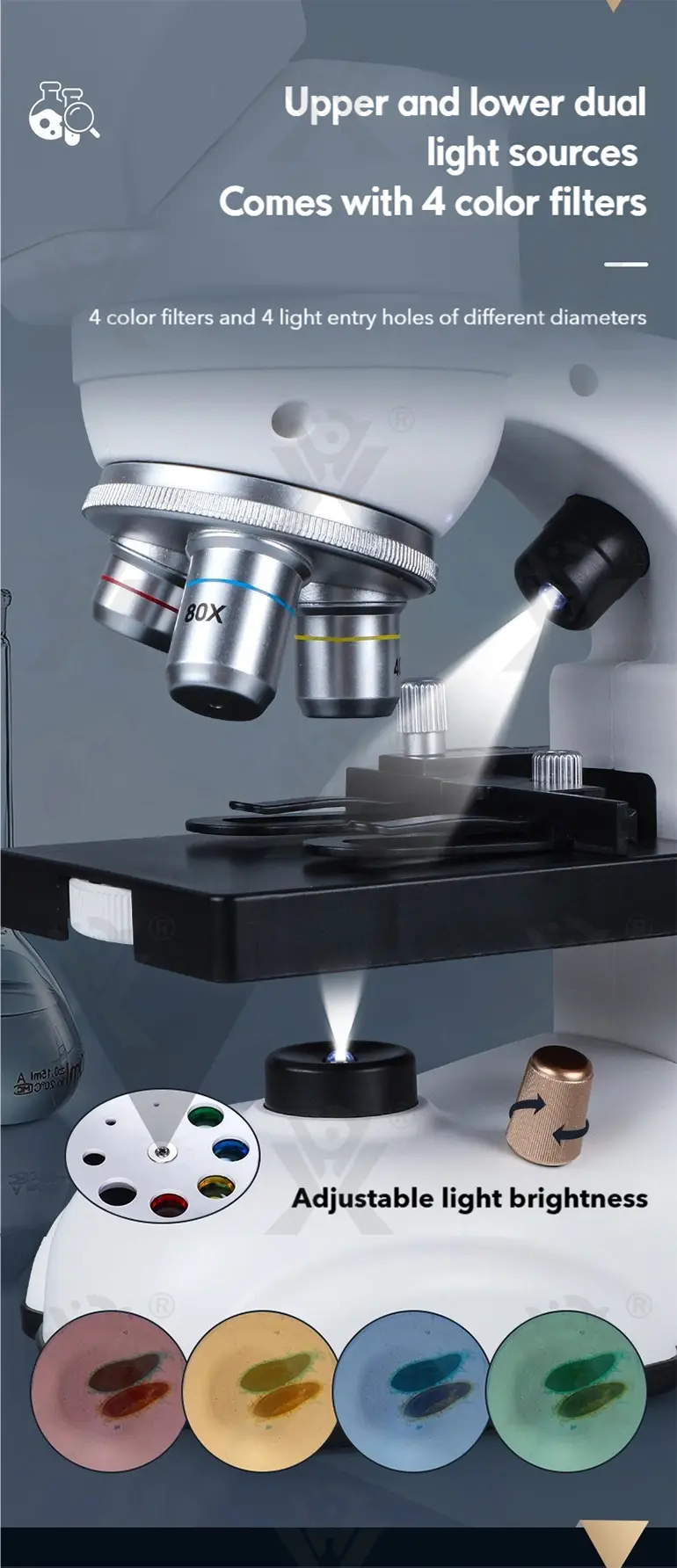 Binocular Microscope Toy, Suitable For Teaching and Playing · TV10252 · detail image 6 of 13