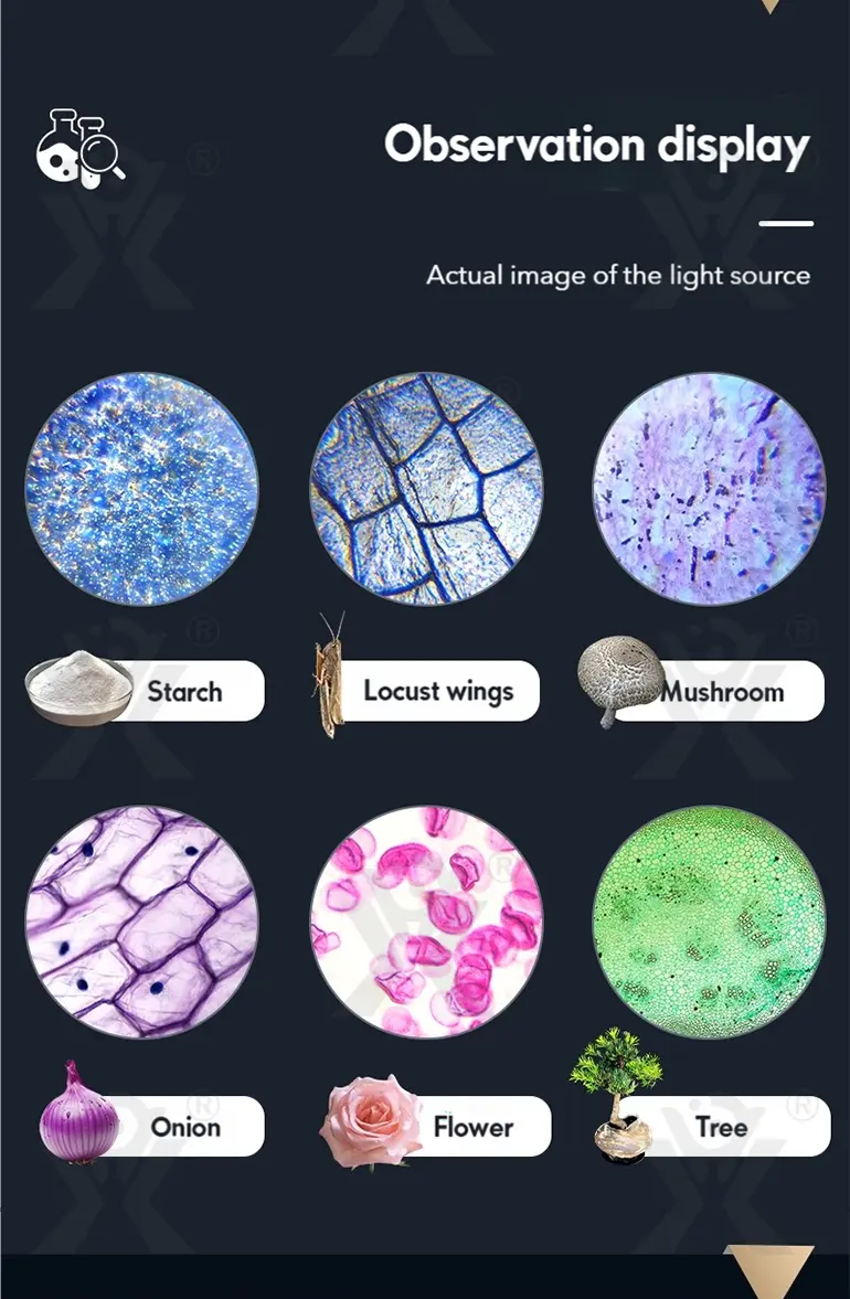 Binocular Microscope Toy, Suitable For Teaching and Playing · TV10252 · detail image 7 of 13