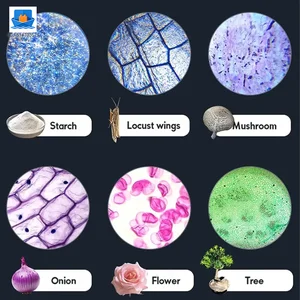 Binocular Microscope Toy, Suitable For Teaching and Playing · TV10252 · product photo 4 of 9