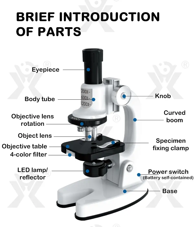 Optical Microscope Toy Set · TV10175 · detail image 11 of 13