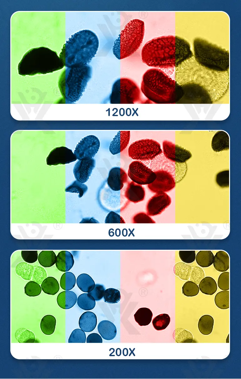 Optical Microscope Toy Set · TV10175 · detail image 5 of 13