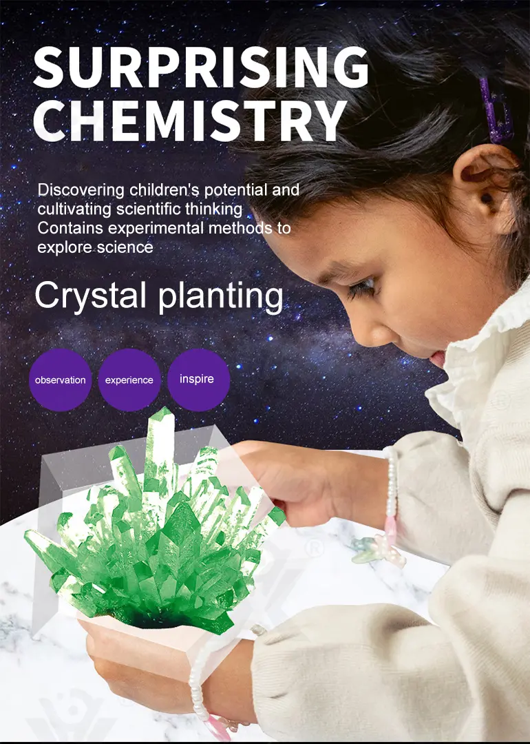 Crystal Planting Toys for Kids · TV10174 · detail image 1 of 7