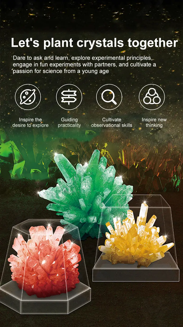 Crystal Planting Toys for Kids · TV10174 · detail image 2 of 7
