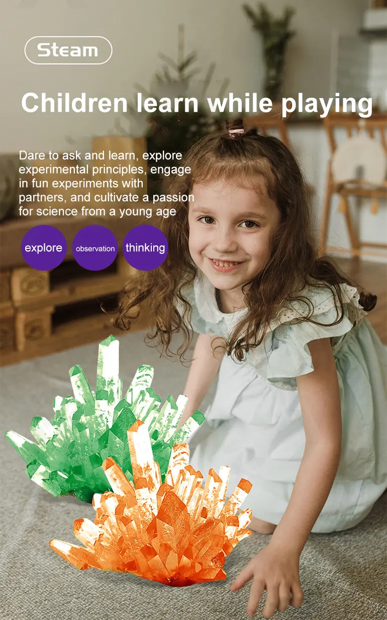 Crystal Planting Toys for Kids · TV10174 · detail image 3 of 7