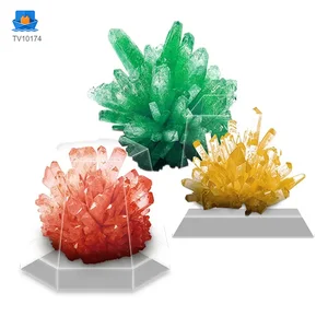 Crystal Planting Toys for Kids