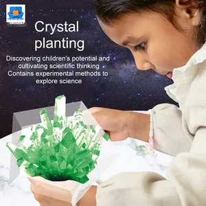 Crystal Planting Toys for Kids · TV10174 · product photo 3 of 7