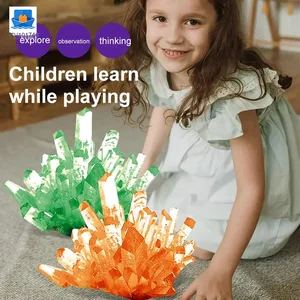Crystal Planting Toys for Kids · TV10174 · product photo 4 of 7