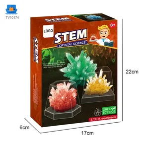 Crystal Planting Toys for Kids · TV10174 · product photo 6 of 7