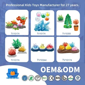 Crystal Planting Toys for Kids · TV10174 · product photo 7 of 7