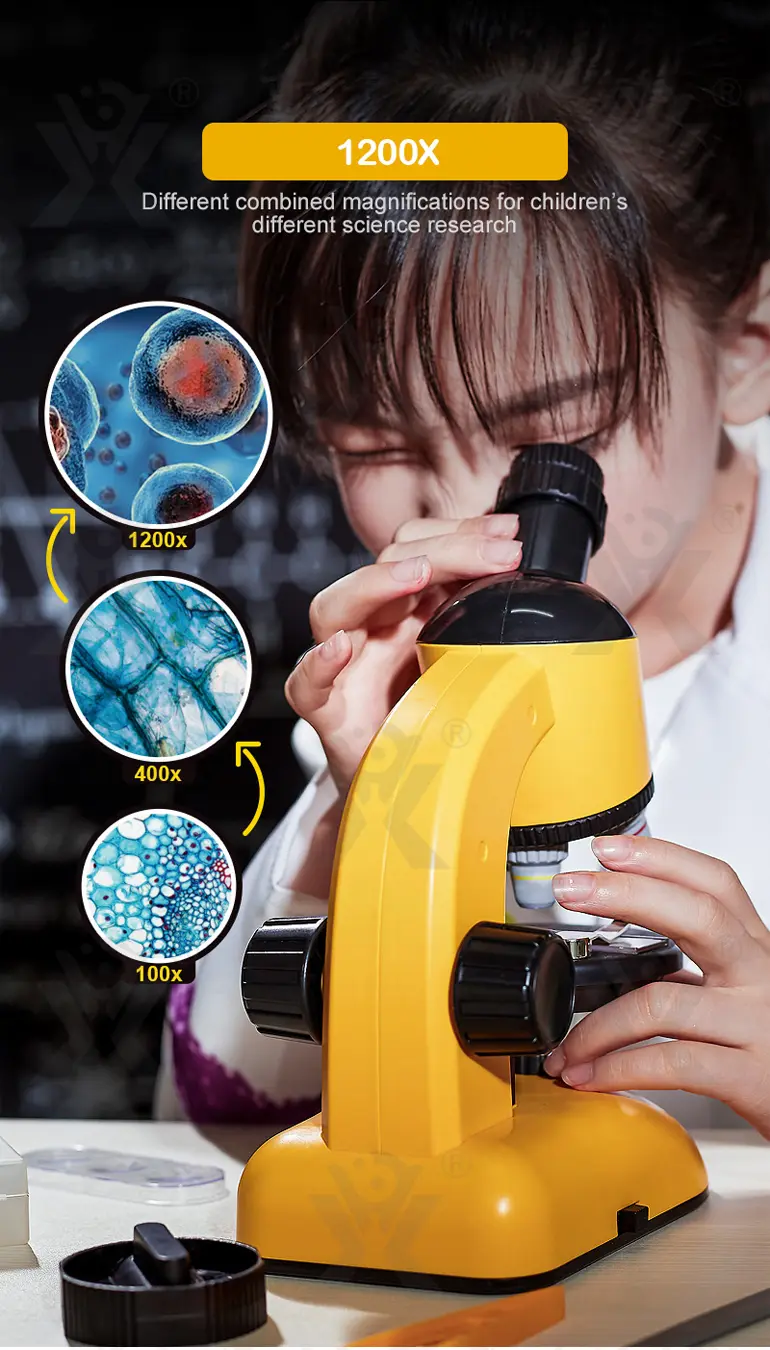 Scientific Microscope Toy, LED 100X-1200X Magnification · TV10071 · detail image 3 of 8