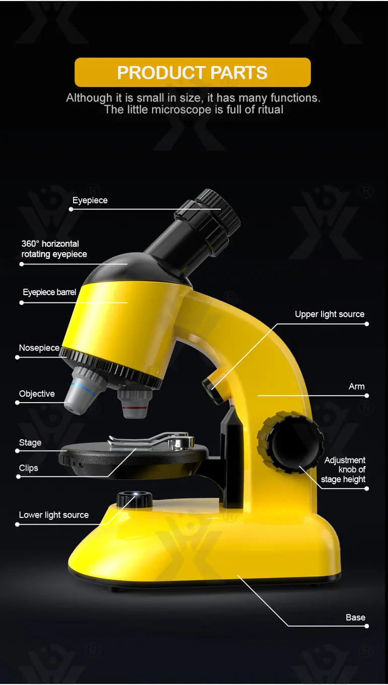 Scientific Microscope Toy, LED 100X-1200X Magnification · TV10071 · detail image 5 of 8