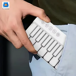 15 Key Kids Tasche Klavier Spielzeug LED Leichtes Musikinstrument·TV10099·Produktfoto 2 von 6