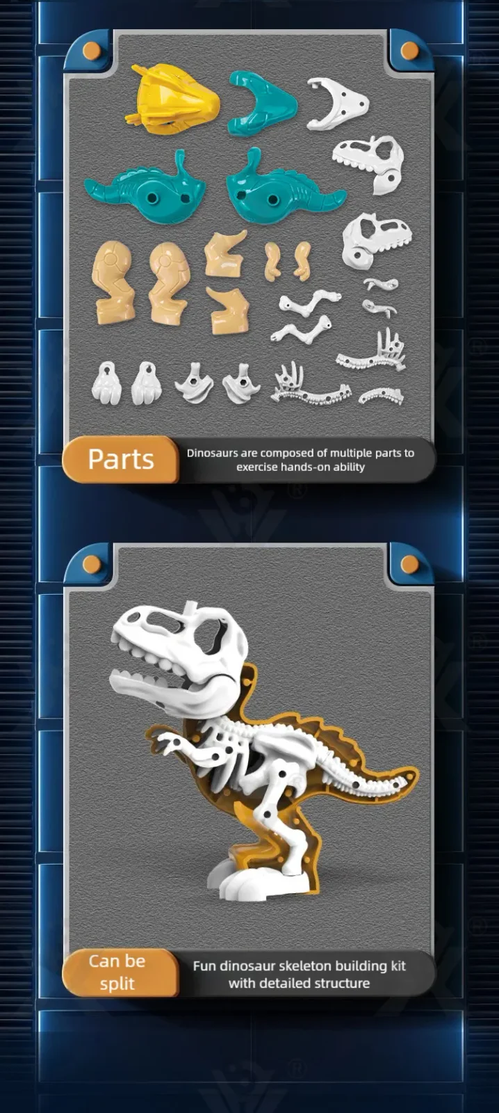 3D Puzzle Figures Assembly Dinosaur Skeleton Toy · TV10020 · detail image 3 of 6