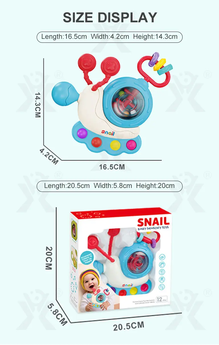Snail Sensory Toys, Round-Edge Design · TV10056 · detail image 8 of 8