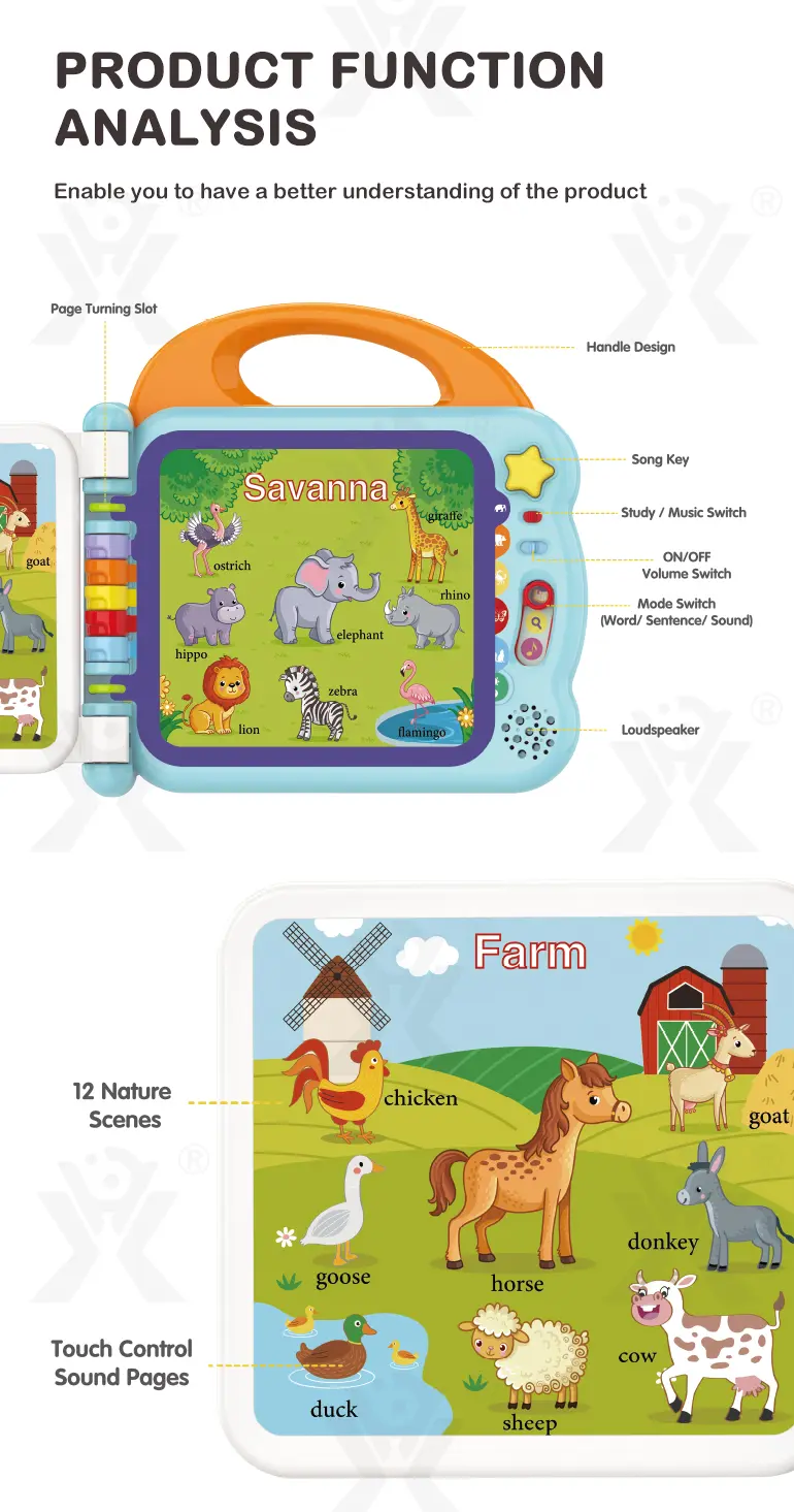Touch & Teach Word Book of Animal World · TV10015 · detail image 7 of 9