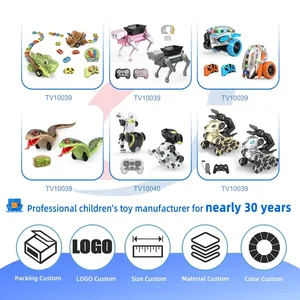 RC Multi-functional Robot Dinosaur Toy with Smoke · TV10039 · product photo 4 of 5