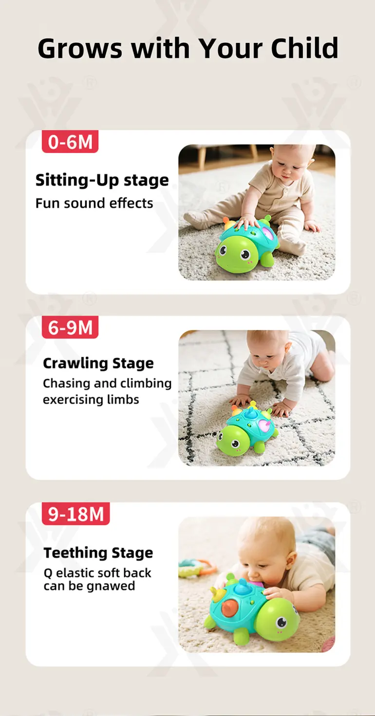 Crawling Turtle, Silicone Design · TV10023 · detail image 3 of 6